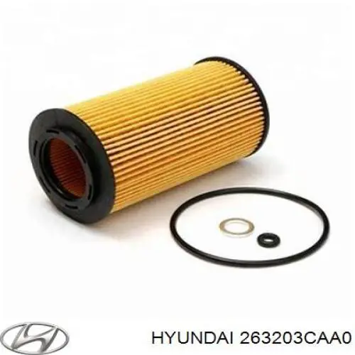 Купити 263203CAA0 Hyundai/Kia Фільтр очищення масла відцентровий