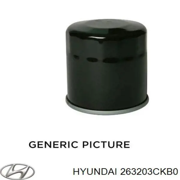 Фільтр масляний Hyundai Genesis (DH) (Хендай Дженезіс)
