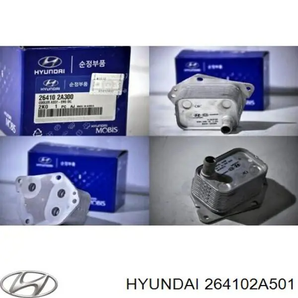 Радіатор масляний (холодильник), під фільтром Hyundai/Kia 264102A501 ціна, від 12.68 USD