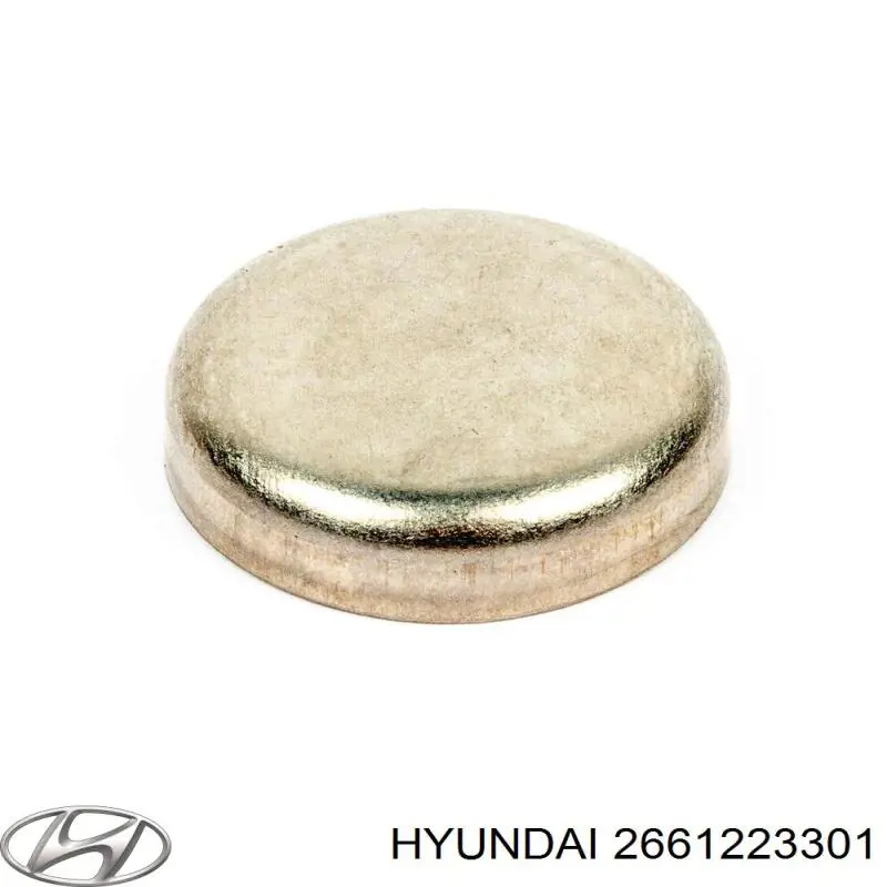 Направляюча щупа-індикатора рівня масла в двигуні Hyundai/Kia 2661223301 ціна, від 4.81 USD
