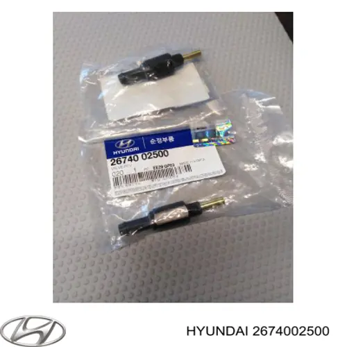 2674002500 Hyundai/Kia клапан pcv (вентиляції картерних газів)