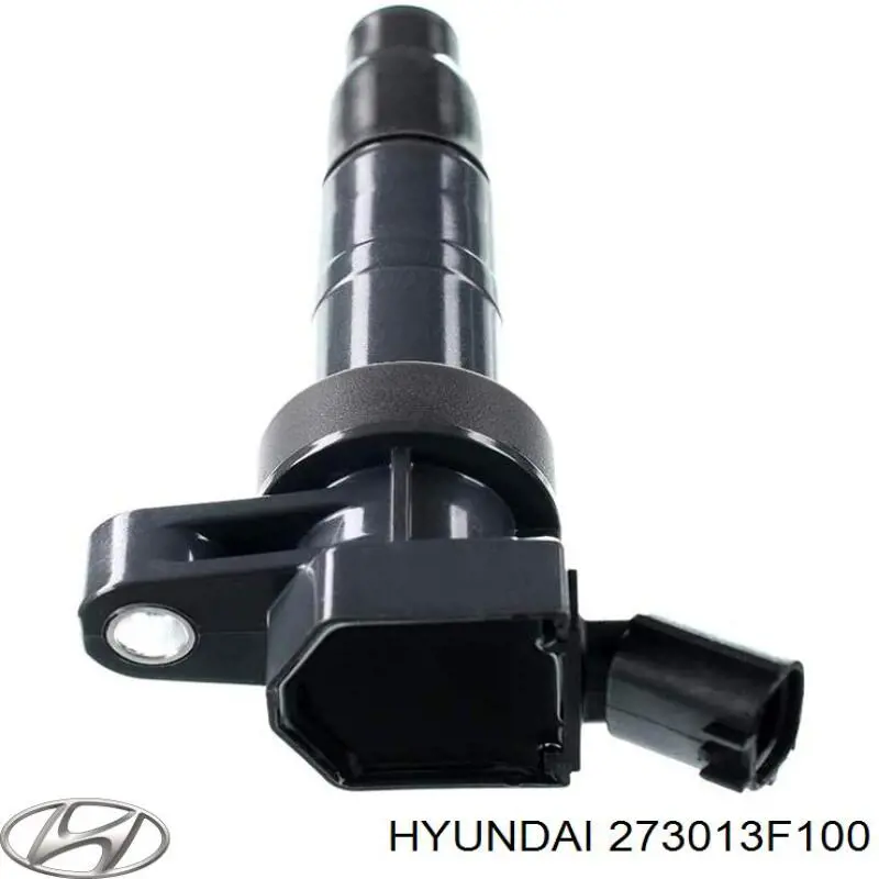  273013F100 Hyundai/Kia