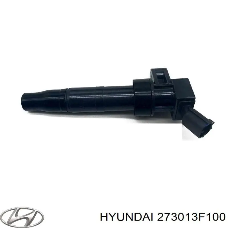 273013F100 Hyundai/Kia 