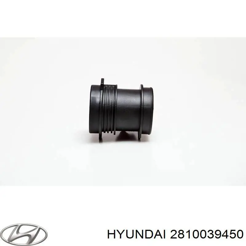 Купити 2810039450 Hyundai/Kia Повітромір