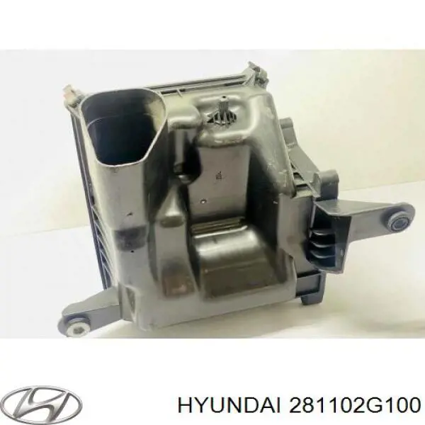 281102G100 Hyundai/Kia Коробка фільтра