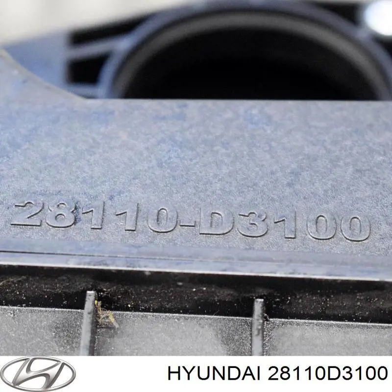 28110D3100 Hyundai/Kia Коробка фільтра