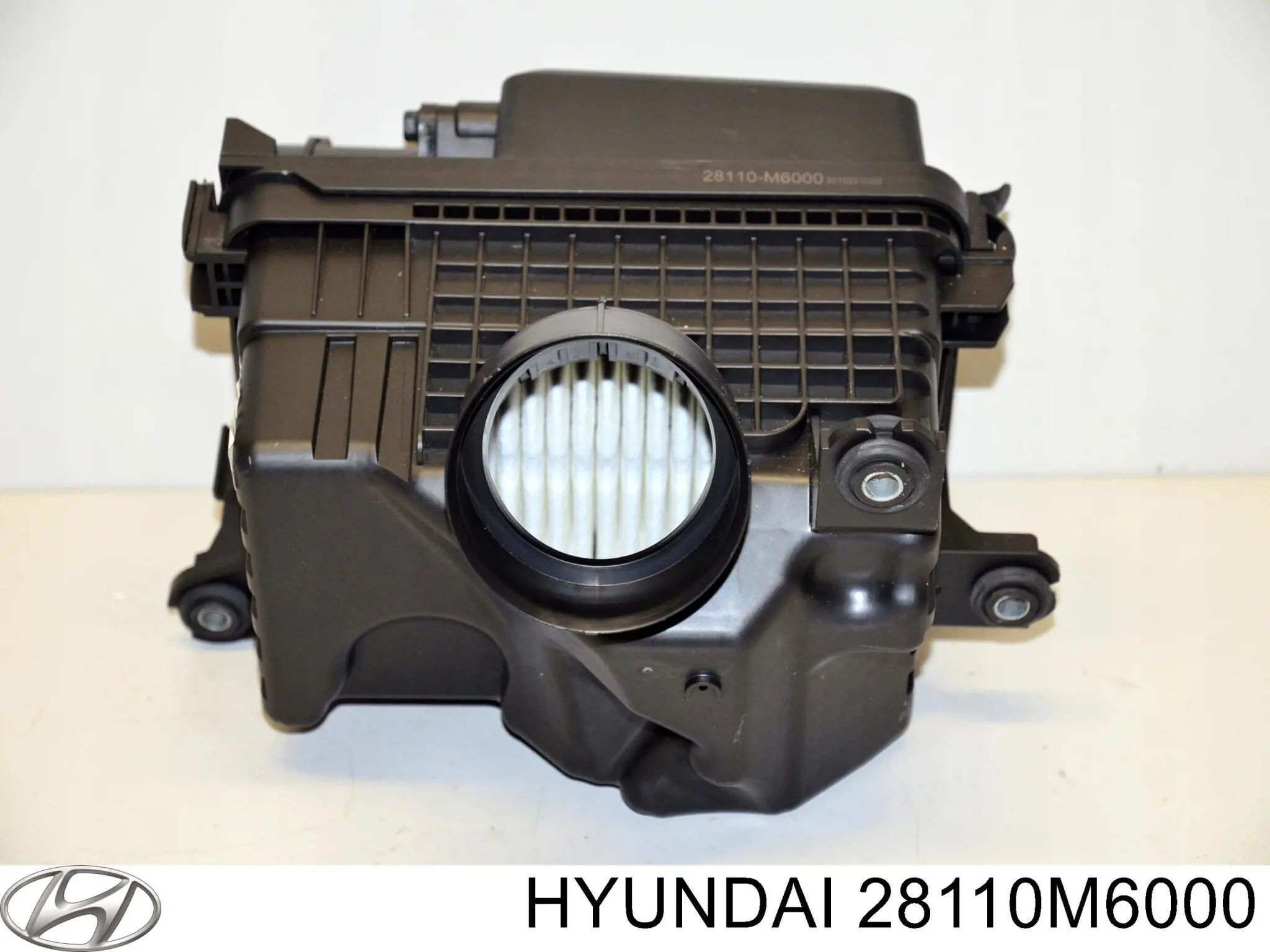 Корпус повітряного фільтра Hyundai/Kia 28110M6000 ціна, від 146.00 USD