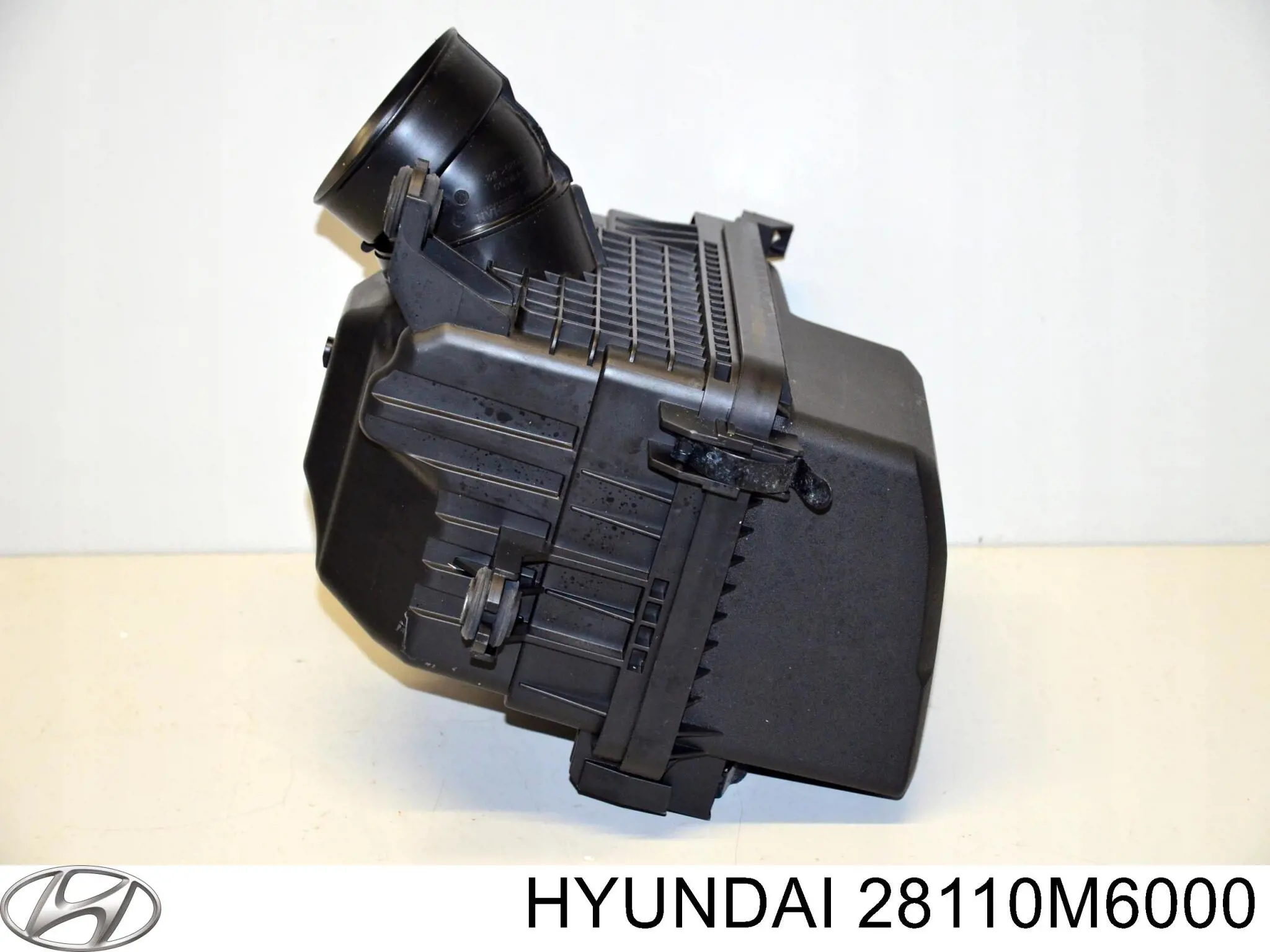 Корпус фільтра 28110M6000 Hyundai/Kia