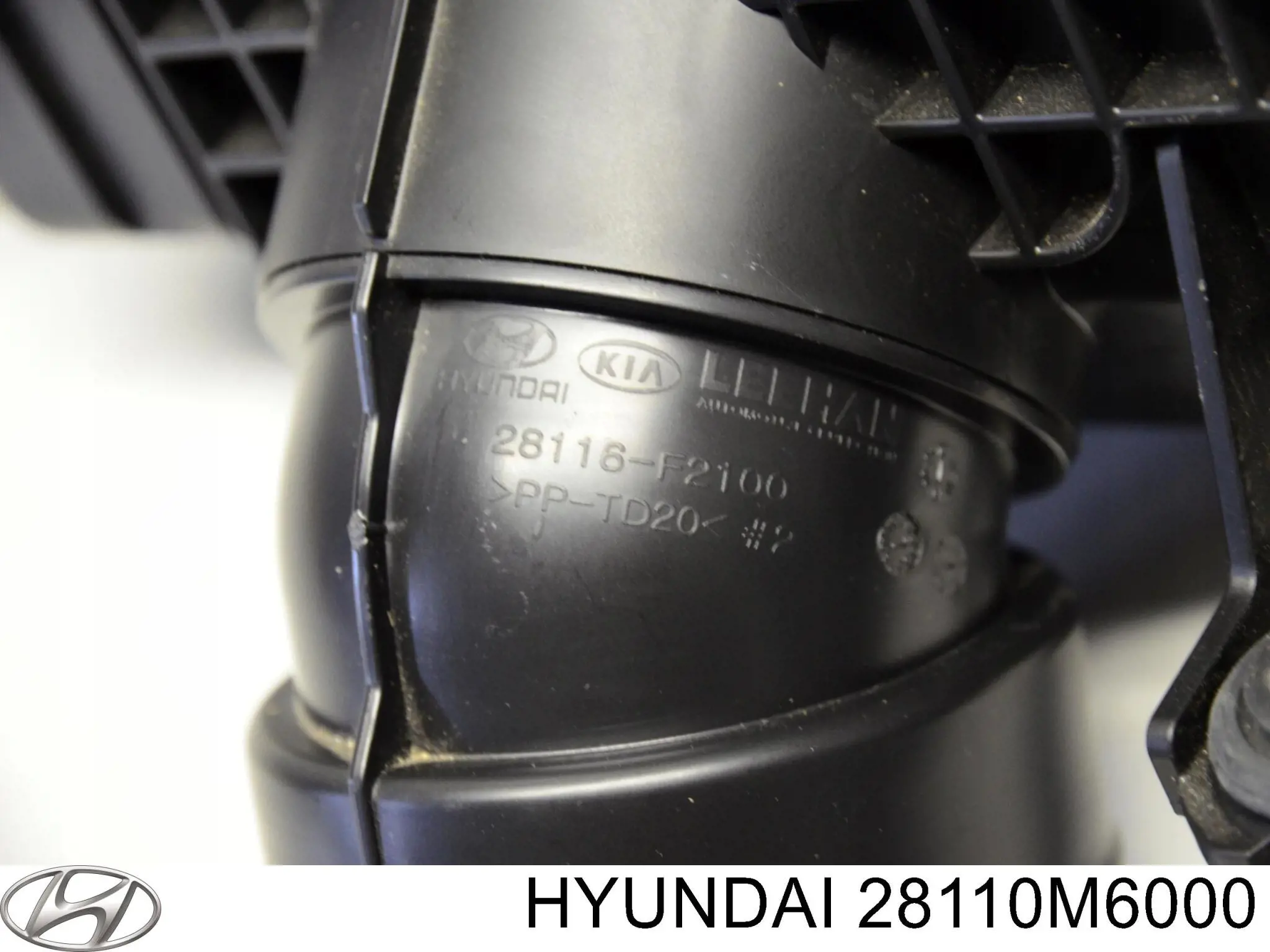 Купити 28110M6000 Hyundai/Kia Корпус фільтра