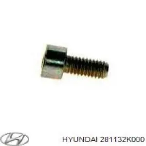 Повітряний фільтр 281132K000 Hyundai/Kia