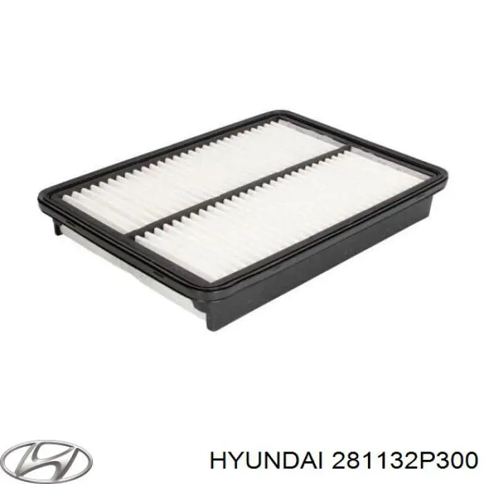 Купити 281132P300 Hyundai/Kia Автомобільний фільтр повітря