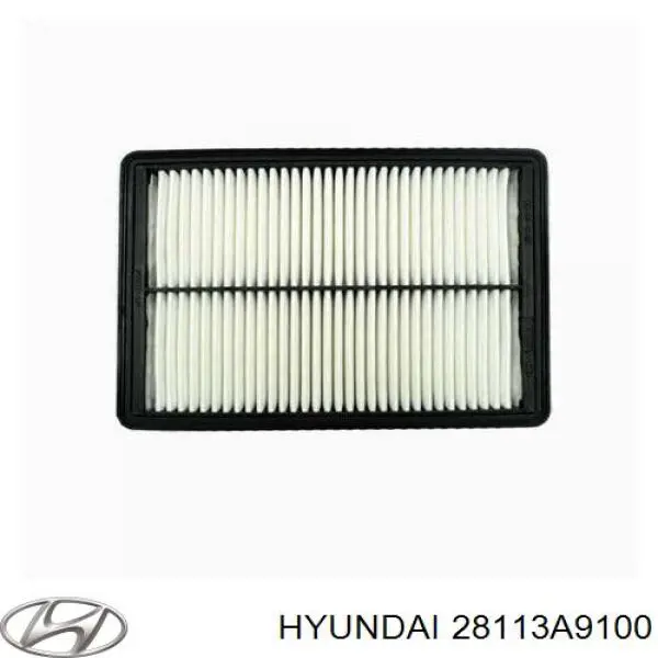 Фільтр повітряний Hyundai/Kia 28113A9100