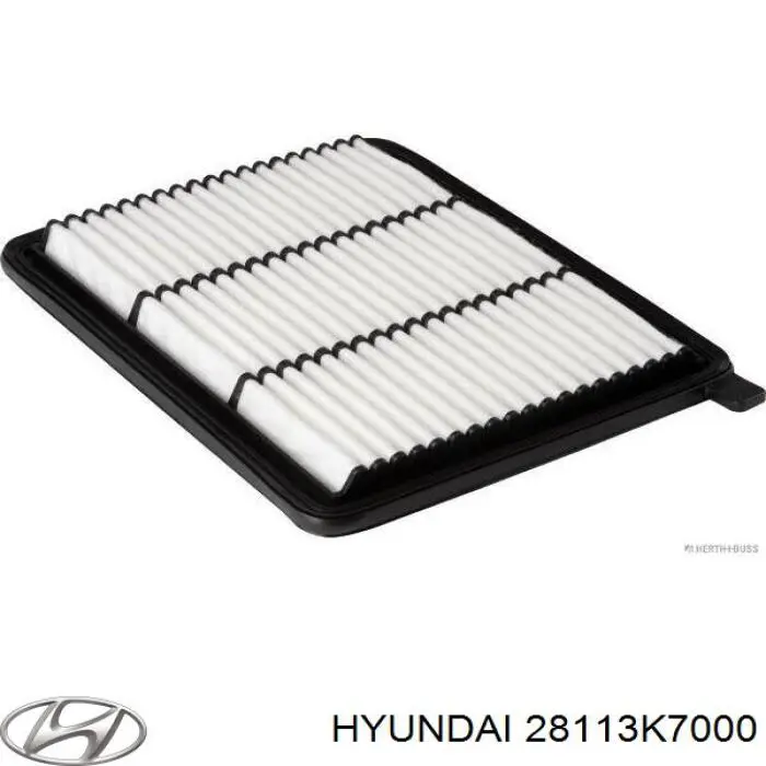 Купити WH2302 Wunder Автомобільний фільтр повітря