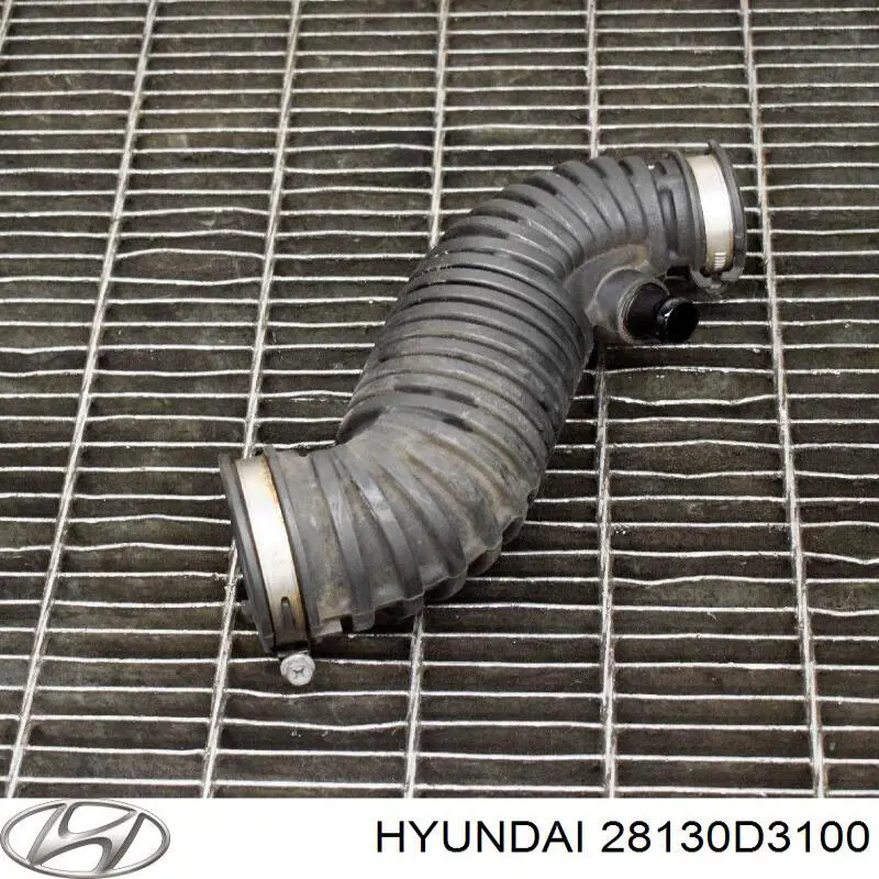 Патрубок повітряний, вихід повітряного фільтра Hyundai/Kia 28130D3100 ціна, від 31.71 USD
