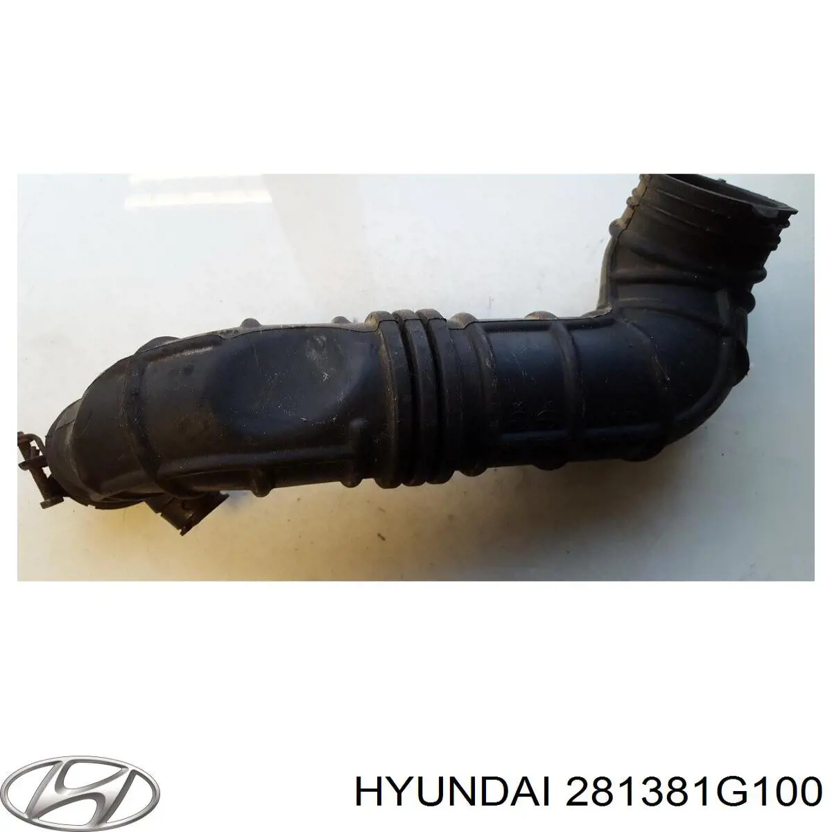  281381G100 Hyundai/Kia