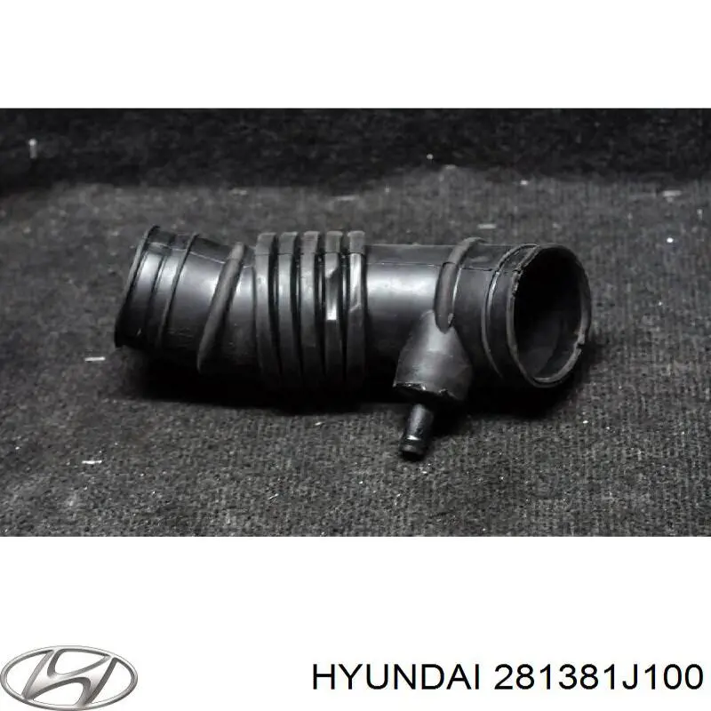 281381J100 Hyundai/Kia 
