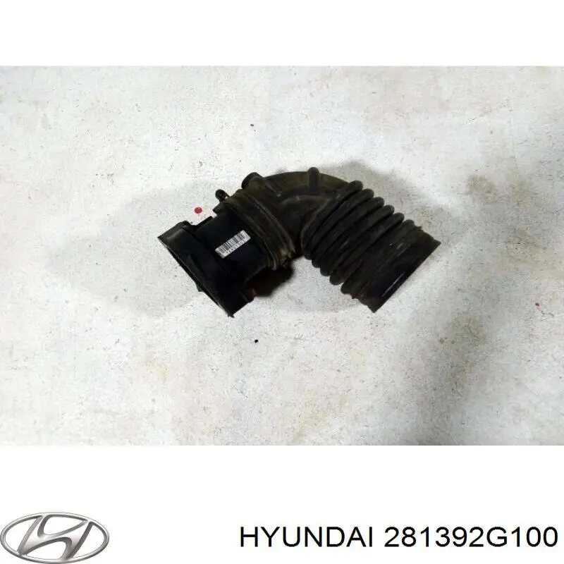 Купити 281392G100 Hyundai/Kia 