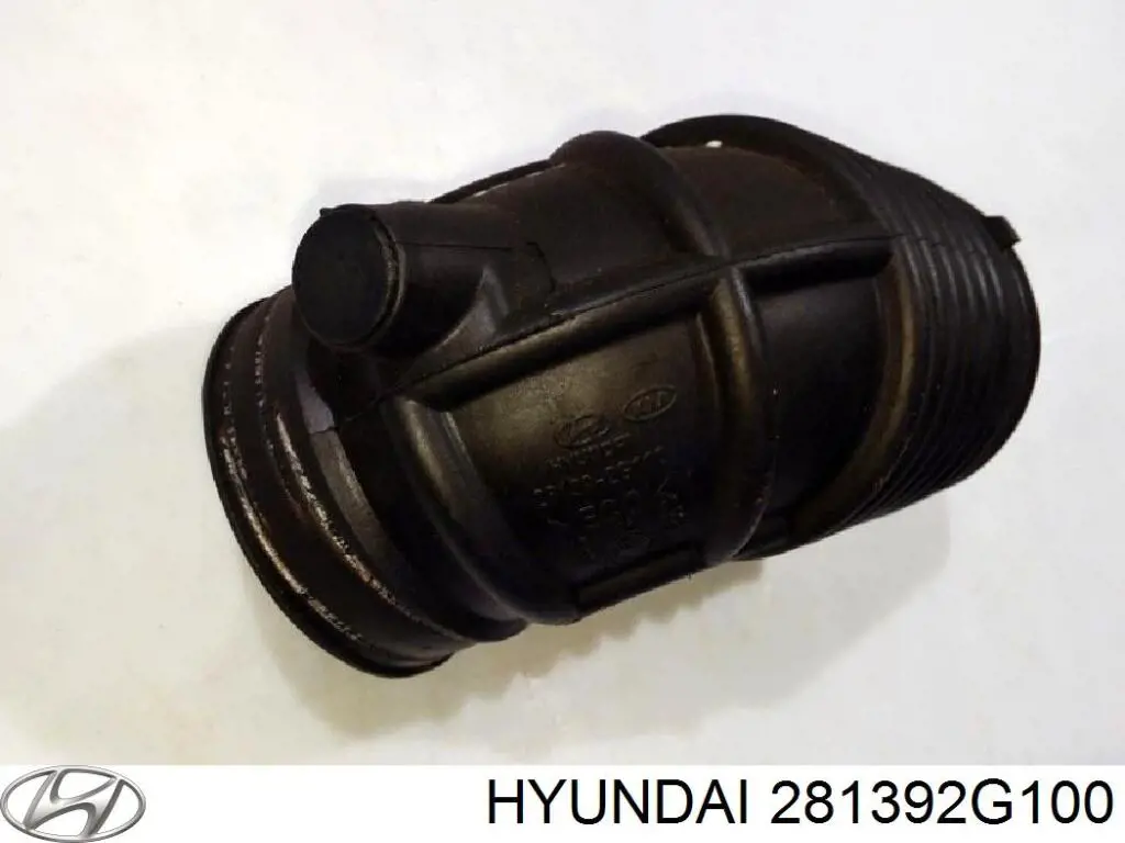 281392G100 Hyundai/Kia 