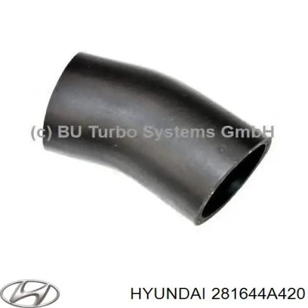 281644A420 Hyundai/Kia Трубка, що нагнітається