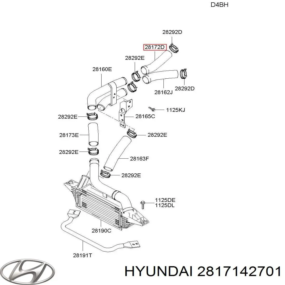 Шланг/патрубок інтеркулера, лівий Hyundai H100 (Хендай Н100)