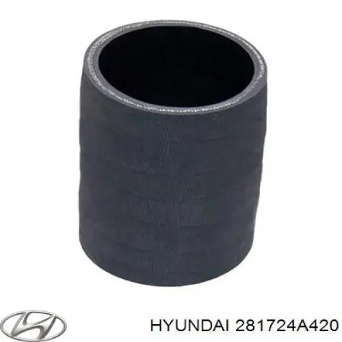 Купити DC0314TT Thermotec Патрубок повітряний, дросельної заслінки