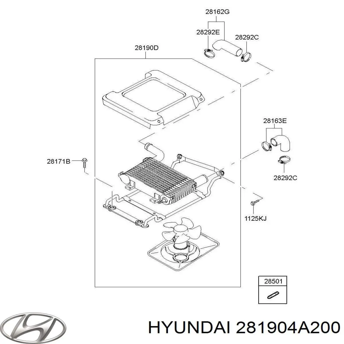 281904A200 Hyundai/Kia 