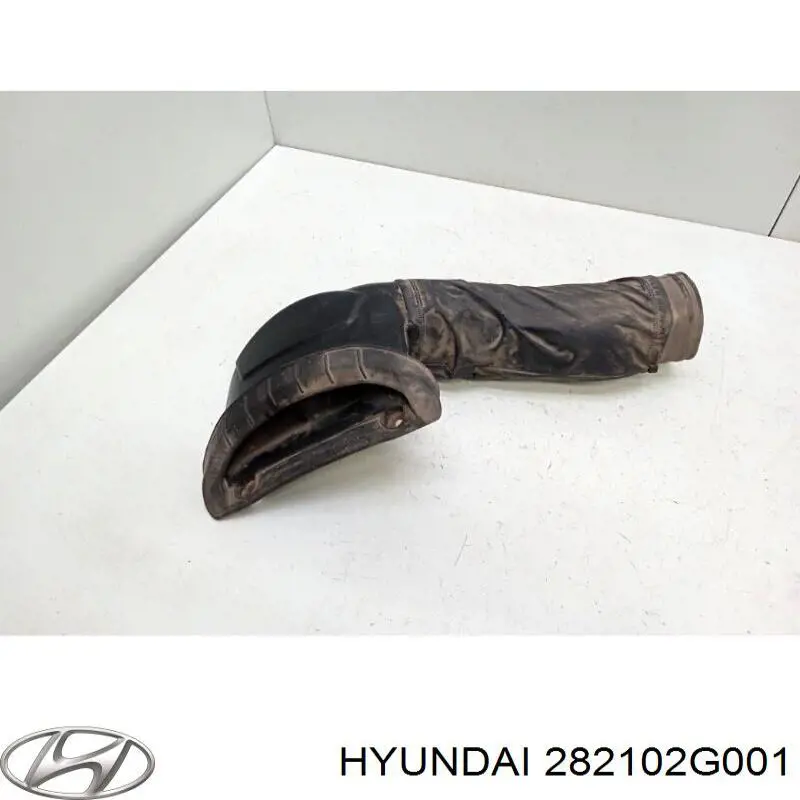 282102G001 Hyundai/Kia Шланг повітряний вентиляції картера