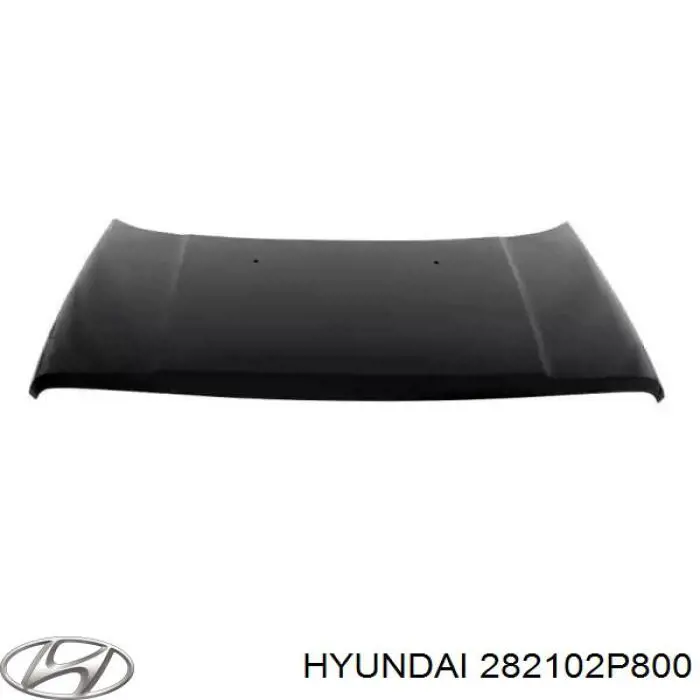 Hyundai/Kia 282102P800 ціна, від 24.28 USD