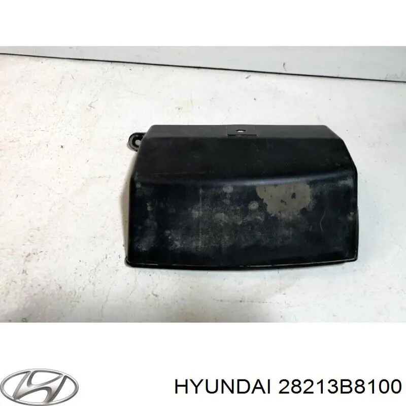  28213B8100 Hyundai/Kia