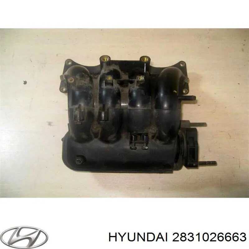 Колектор впускний Hyundai Coupe II купе (GK) (2001 - 2006) ціна, від 28.31 USD