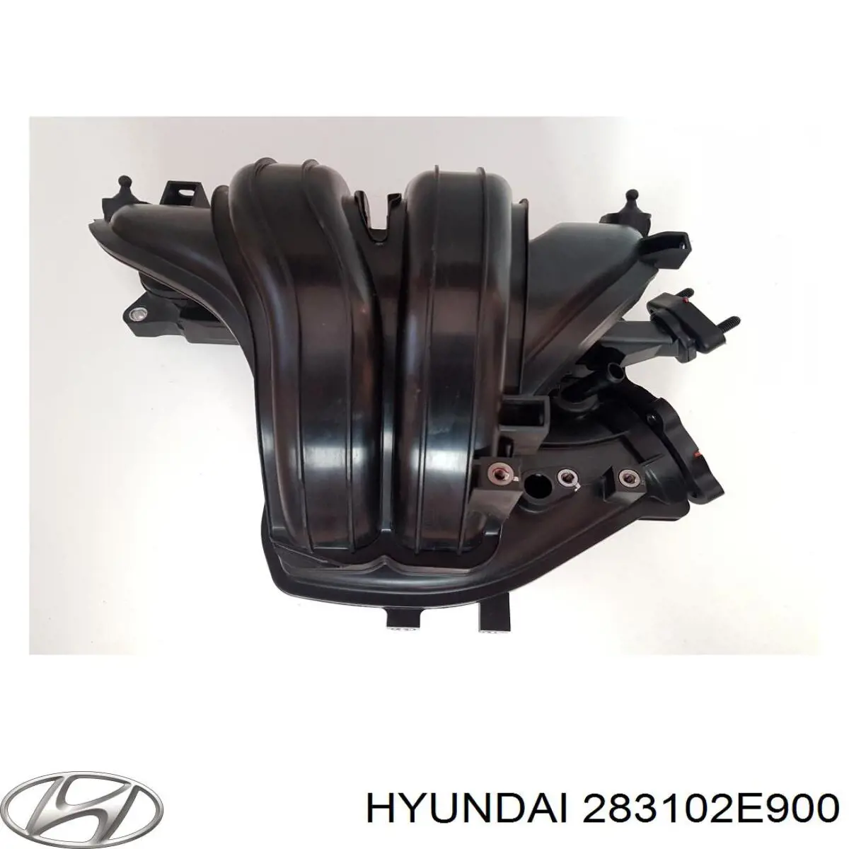 Купити 283102E900 Hyundai/Kia Впускний колектор