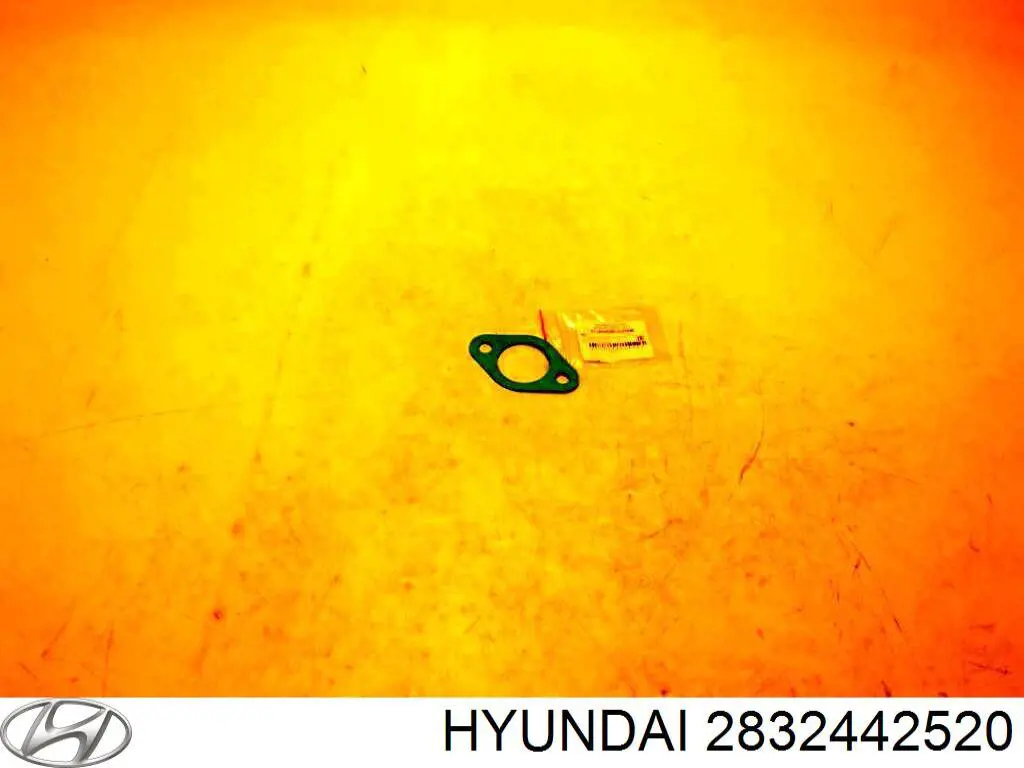 Прокладка впускного колектора Hyundai H-1 STAREX Starex (Хендай H-1 STAREX)