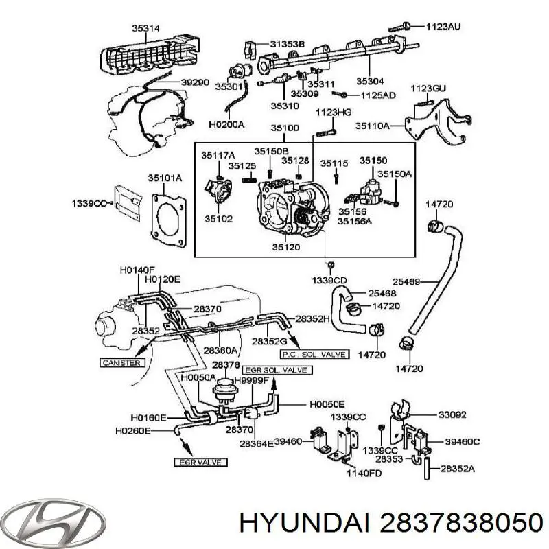 2837838050 Hyundai/Kia 