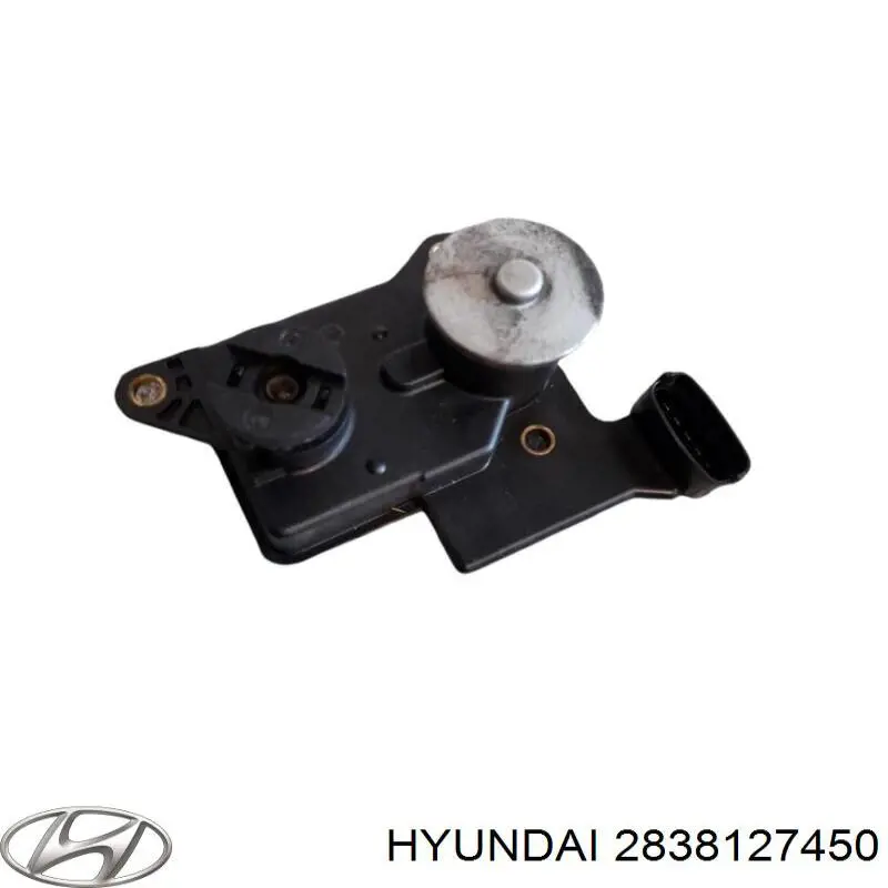 Клапан приводу заслінок впускного колектора Hyundai/Kia 2838127450