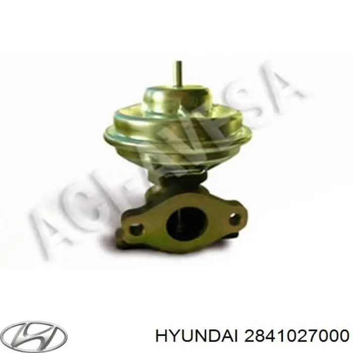 Клапан EGR, рециркуляції газів Hyundai Santa Fe 1 (SM) (Хендай Санта фе)