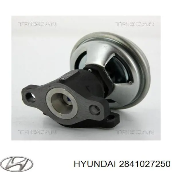 Купити 274065 Maxgear Прилади управління системи рециркуляції