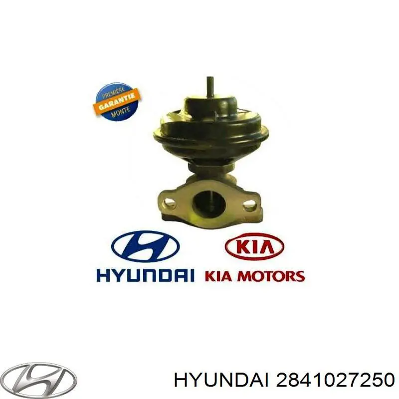 Клапан EGR рециркуляції газів Hyundai/Kia 2841027250