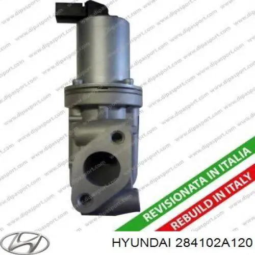 Клапан EGR рециркуляції газів Hyundai/Kia 284102A120