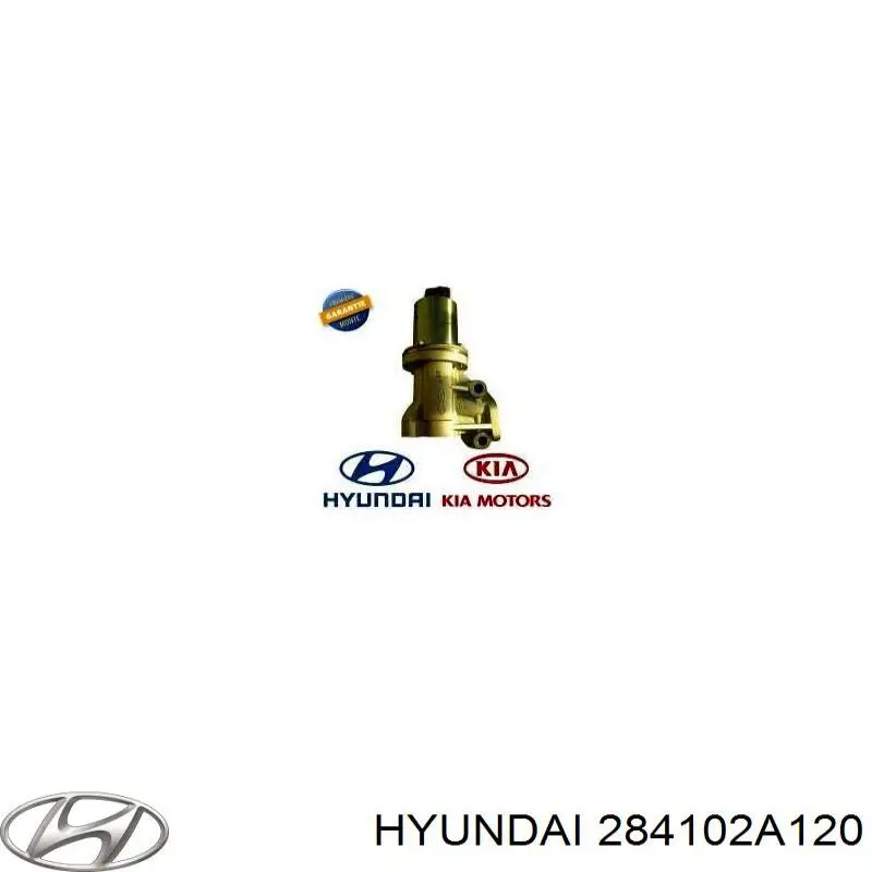 Клапан ЄГР 284102A120 Hyundai/Kia