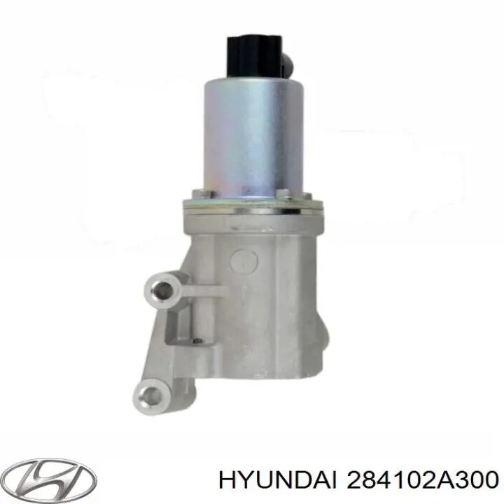 Клапан EGR рециркуляції газів Hyundai/Kia 284102A300