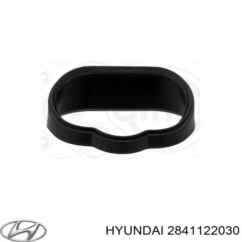 Прокладка впускного колектора Hyundai/Kia 2841122030 ціна, від 3.41 USD
