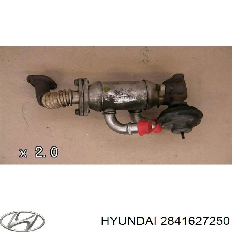  2841627250 Hyundai/Kia