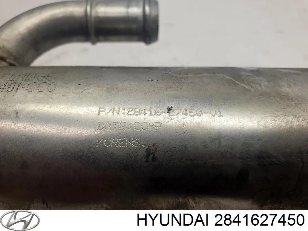 Радіатор системи EGR рециркуляції вихлопних газів 2841627450 Hyundai/Kia