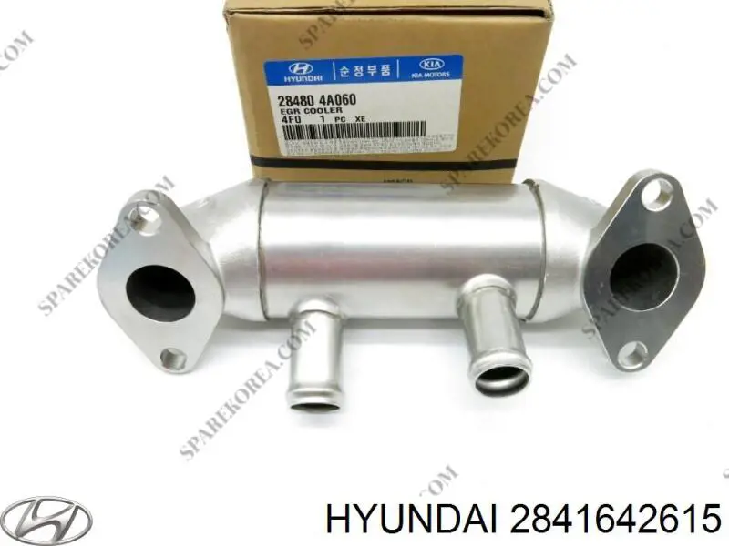  2841642615 Hyundai/Kia