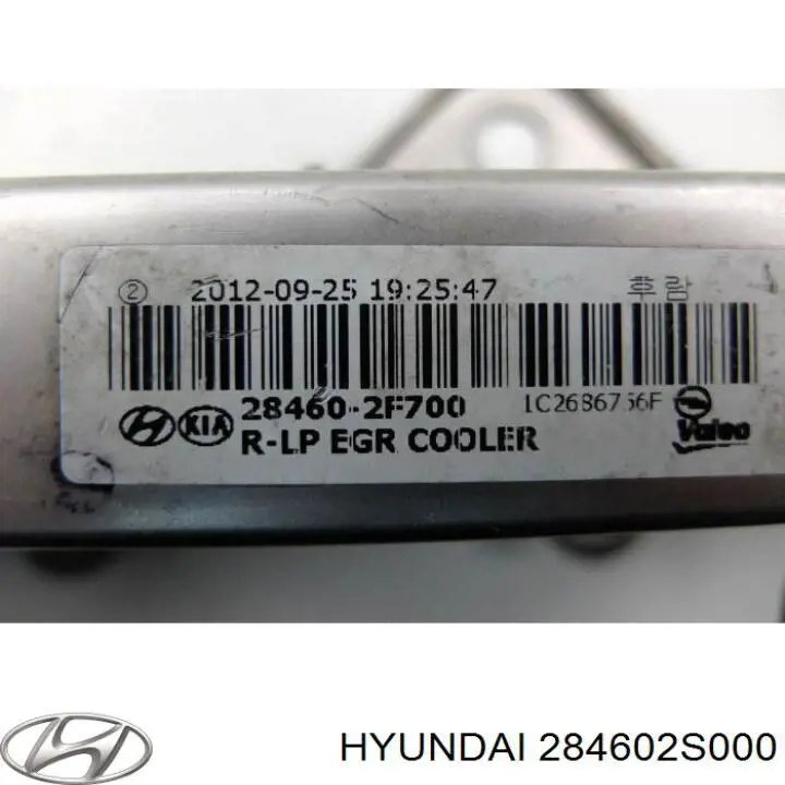 284602S000 Hyundai/Kia Радіатор системи EGR рециркуляції вихлопних газів