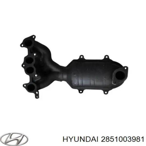  2851003981 Hyundai/Kia