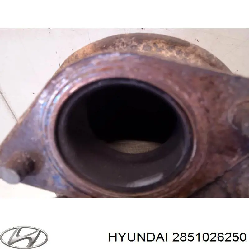  2851026250 Hyundai/Kia