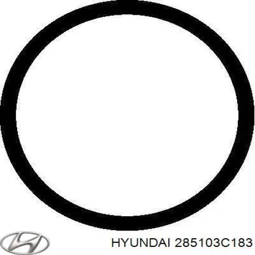 Конвертор-каталізатор, правий Hyundai Grandeur (TG) (Хендай Грандер)