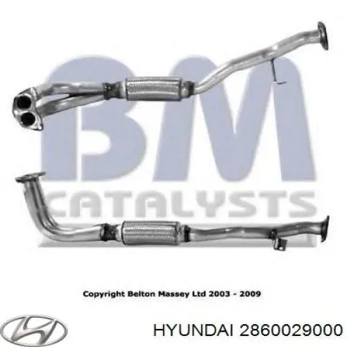 Глушник, передня частина BM Catalysts BM50016 ціна, від 19.05 USD