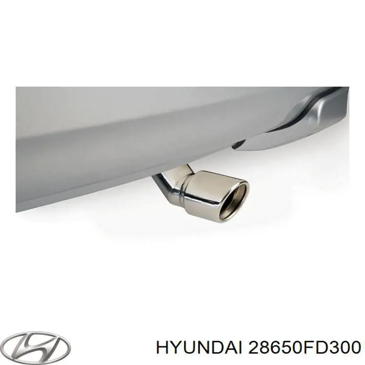 Глушник, центральна частина 28650FD300 Hyundai/Kia